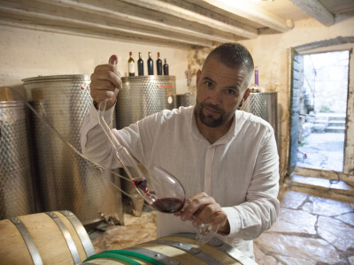 OPG Radoslav Županović