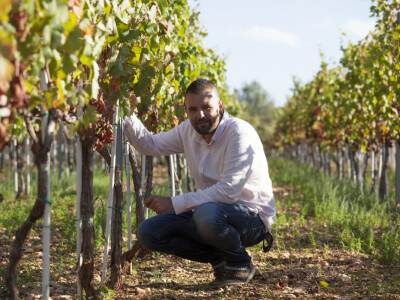 OPG Radoslav Županović