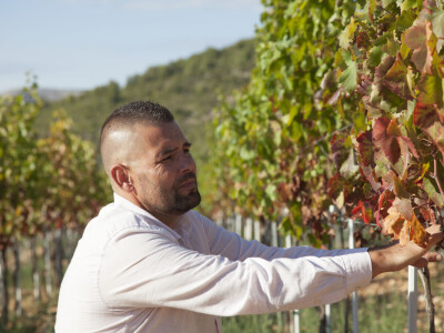 OPG Radoslav Županović