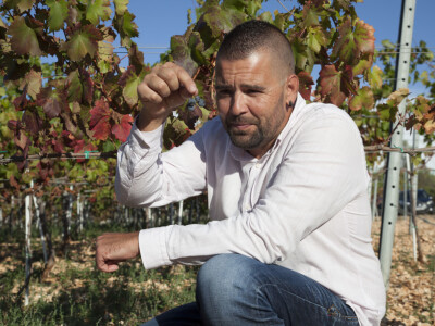 OPG Radoslav Županović