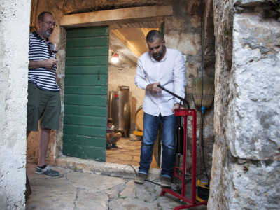 OPG Radoslav Županović