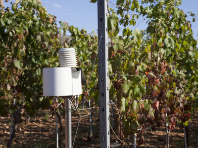 OPG Radoslav Županović