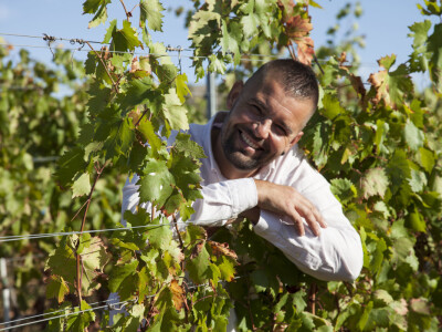 OPG Radoslav Županović