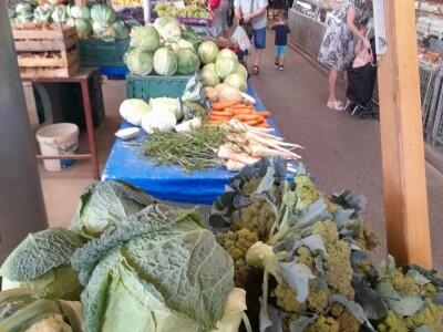 OPG Renata Drašković