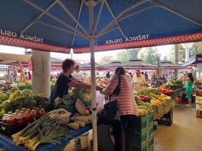 OPG Renata Drašković