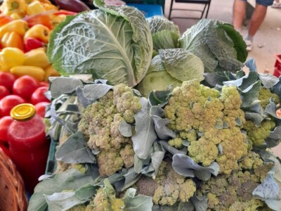 OPG Renata Drašković