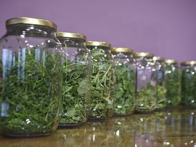 OPG Rogić liofilizirani proizvodi i svježe mikrobilje