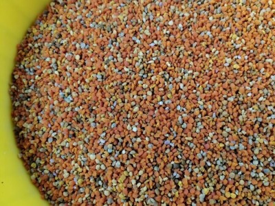 OPG Roguljić u Kučinama proizvodi med i pčelinje proizvode, soparnik, maslinovo ulje i suhe smokve te uzgaja buše