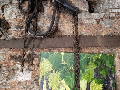 OPG Ružić - autohtona sorta jarbola