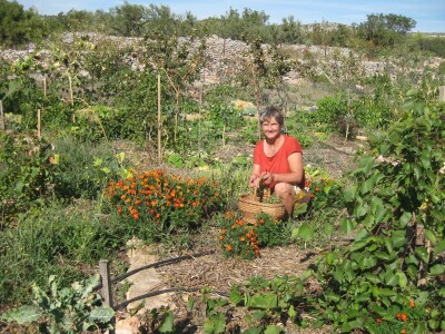 OPG Sabine Engelhardt