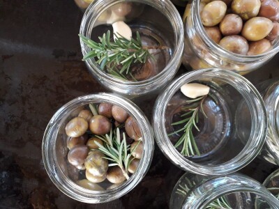 OPG Sabine Engelhardt