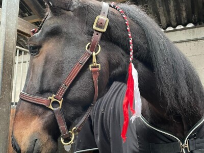 OPG Sandra Cerjanec Bjelovar