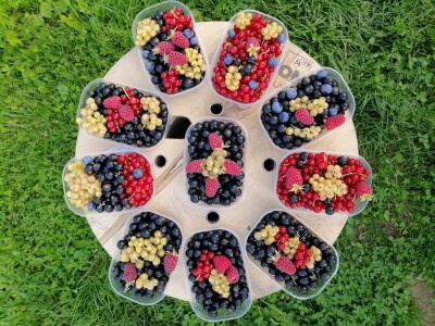 OPG Sandra Pustišek OPG Sandra Pustišek