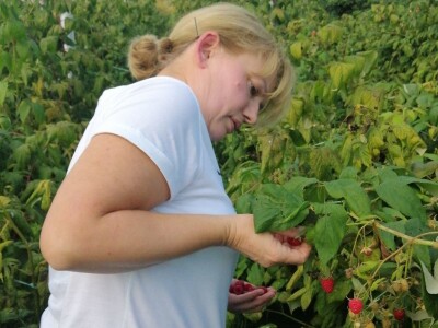 OPG Sandra Pustišek OPG Sandra Pustišek