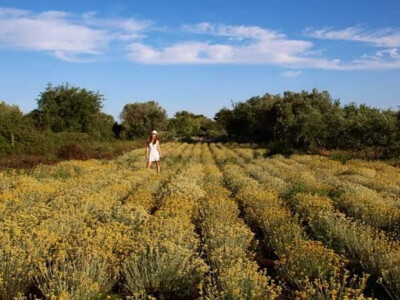 Najljepša razglednica je napravljena