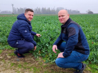 OPG ŠAREC IVICA OPG ŠAREC IVICA