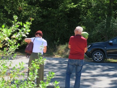 OPG Sarvan - ekološka proizvodnja Loborika
