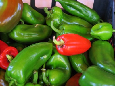 OPG Sarvan - ekološka proizvodnja Loborika