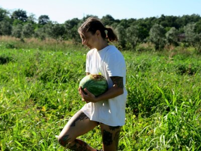 OPG Sarvan - ekološka proizvodnja Loborika