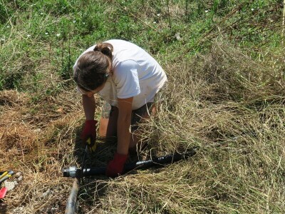 OPG Sarvan - ekološka proizvodnja Loborika