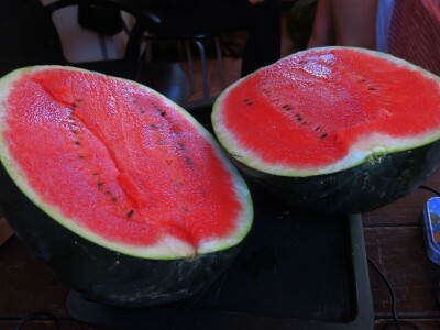 OPG Sarvan - ekološka proizvodnja Loborika