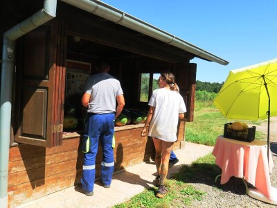 OPG Sarvan - ekološka proizvodnja Loborika
