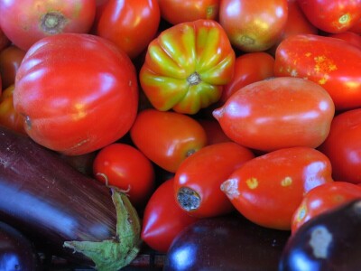 OPG Sarvan - ekološka proizvodnja Loborika