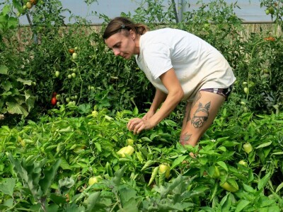 OPG Sarvan - ekološka proizvodnja Loborika