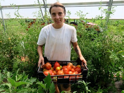 OPG Sarvan - ekološka proizvodnja Loborika