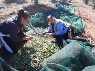 OPG Scarpagranda OPG Scarpagranda