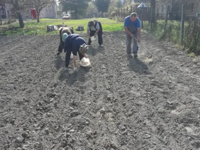 OPG Šestanj