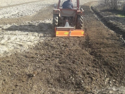 OPG Šestanj