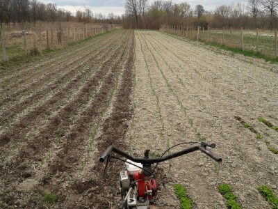 OPG Šestanj - spoj mladosti i tradicije