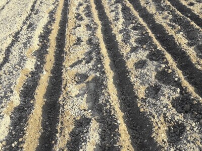 OPG Šestanj - spoj mladosti i tradicije