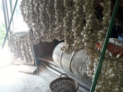 OPG Šestanj - spoj mladosti i tradicije