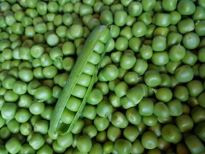 OPG Šestanj - spoj mladosti i tradicije