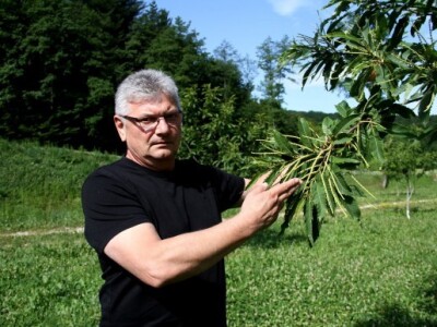 O daljnjim planovima Sevšek kaže kako namjerava intenzivno raditi i na obradi  inozemnih tržišta