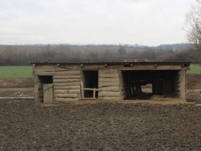 OPG Sičaja- crna slavonska svinja