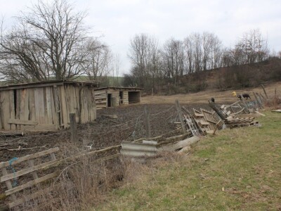 OPG Sičaja- crna slavonska svinja