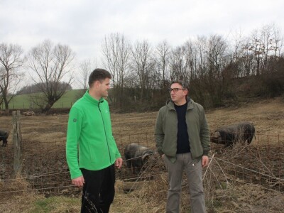 OPG Sičaja- crna slavonska svinja