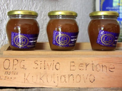 OPG Silvio Bertone