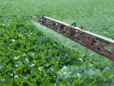 OPG Siniše Hrgovića