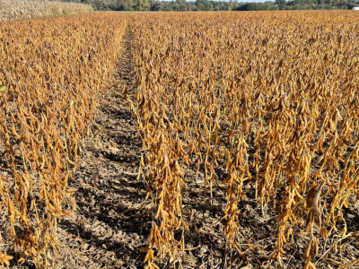 OPG Siniše Hrgovića