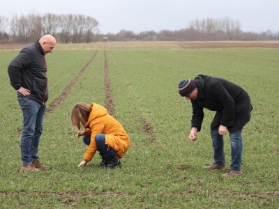 OPG Siniše Hrgovića