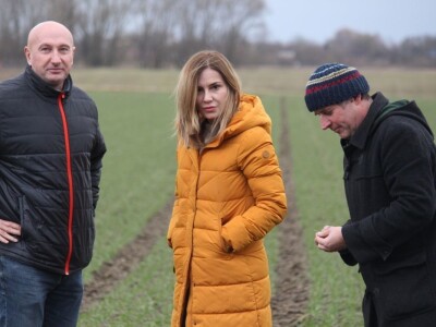 OPG Siniše Hrgovića