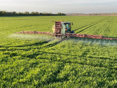 OPG Siniše Hrgovića