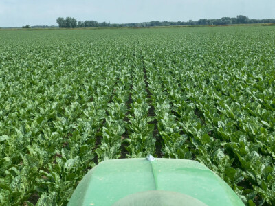 OPG Siniše Hrgovića