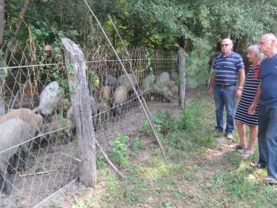 OPG Škrinjarić
