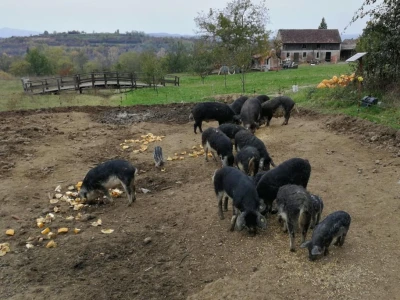 OPG Škrinjarić