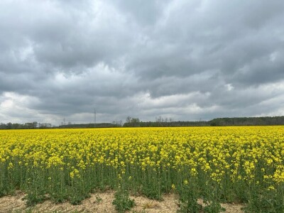 OPG Škrnički i Timac Agro u Breziku